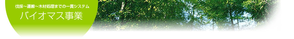 伐採~運搬~木材処理までの一貫システム バイオマス事業 木質チップ製造施設
