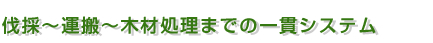 伐採~運搬~木材処理までの一貫システム
